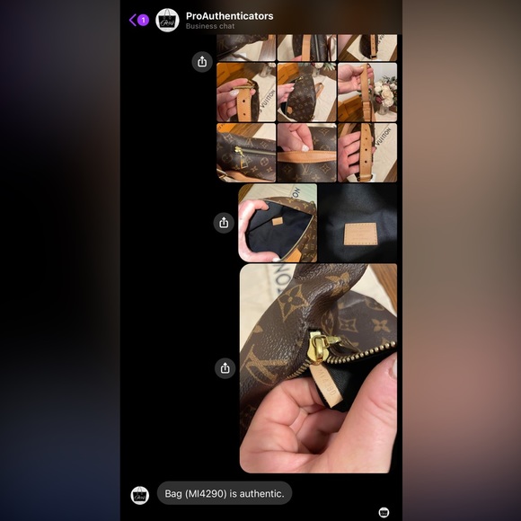 Louis Vuitton Monogram Bumbag - Picture 16 of 16